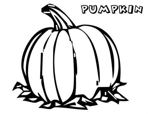 Pumpkin Patch Coloring Pages | Free download on ClipArtMag