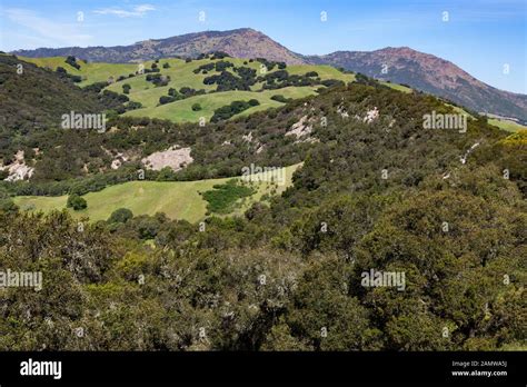 Contra costa county parks hi-res stock photography and images - Alamy