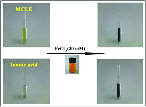 Color change of MCLE and tannic acid by a ferric ion reducing test ...