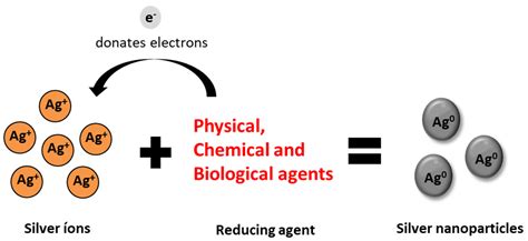 Antibiotics | Free Full-Text | Biosynthesis of Silver Nanoparticles ...