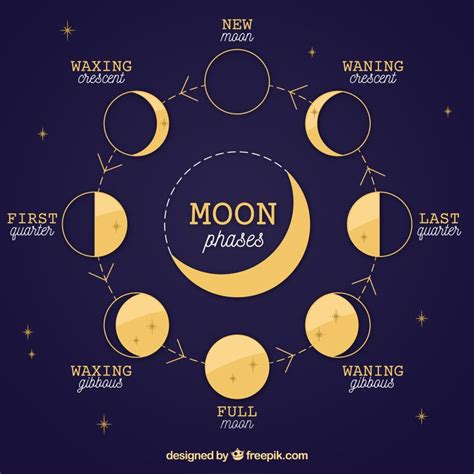 moon phase chart - Google Search | Moon phase chart, New moon rituals ...