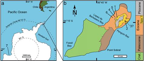 (a) Map of Antarctica with location of Seymour Island highlighted ...