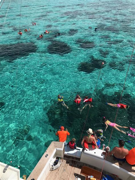 Exciting Snorkelling Tours in Grand Cayman - Get Bent Charters