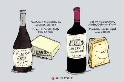 6 Tips on Pairing Wine and Cheese | Wine Folly