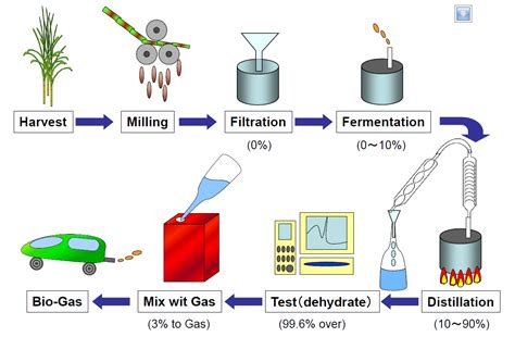 Bioethanol Production Using Saccharomyces cerevisiae with Different ...