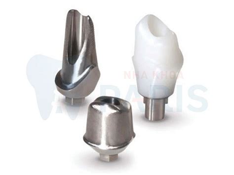 CUSTOMIZED ABUTMENT - DETEC