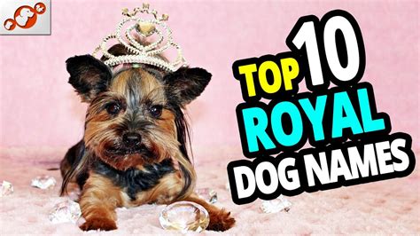 🐕 TOP 10 Royal Dog Names! - YouTube