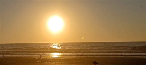 Sunrise Over Beach Videos, Download The BEST Free 4k Stock Video ...