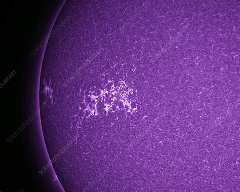 The Sun's chromosphere - Stock Image - C009/3717 - Science Photo Library