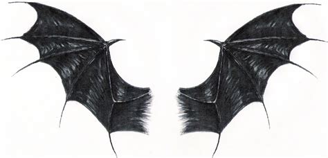 Dragon wings by Rotten-Alice on deviantART | Dragon wings, Wings drawing, Demon wings