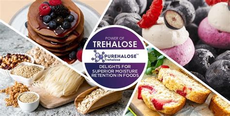 Power of Trehalose Delights for Superior Moisture Retention in Foods