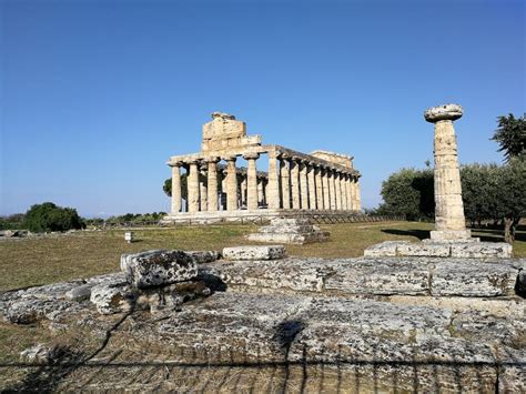 Paestum - Temple of Athena stock photo. Image of graecia - 121440234