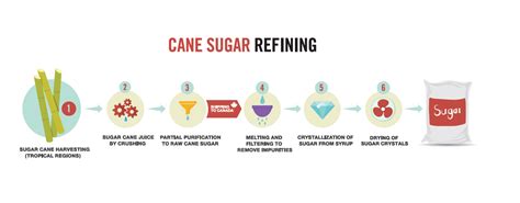 Purification of Sugar - The Canadian Sugar Institute