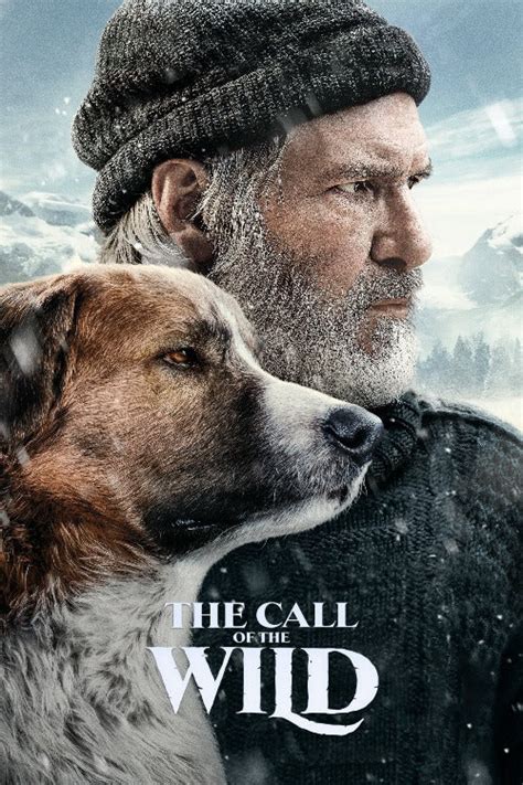 Call of the Wild - HD (Google Play) – Digital Movies Now