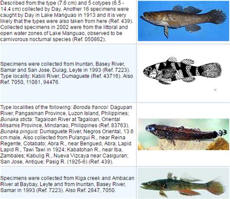 List of Freshwater Fish in the Philippines - Top List Philippines