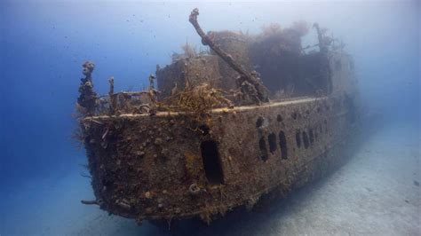 HMS Erebus | Armstrong Browning Library & Museum