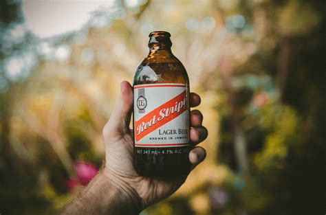 What is Lager? The Best Lagers Around the World You Must Try Right Now