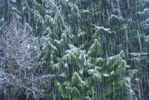 Sleet Storm | Sleet falling in our back yard, winter 2007-20… | Malcolm Muir | Flickr