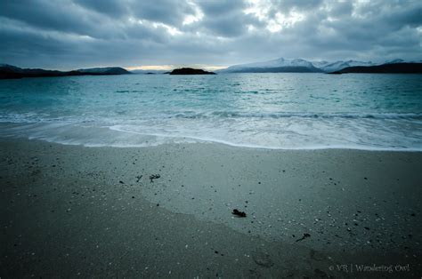 Arctic Landscapes | Wandering Owl