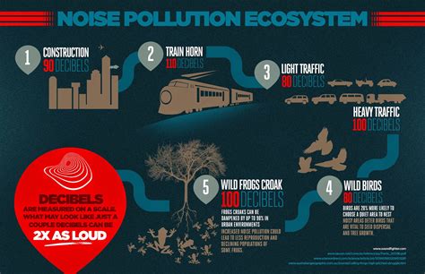 Protect Yourself From Noise Pollution