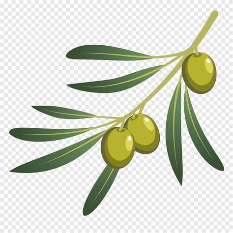 Branches Clip Art Preview Olive Clipart Hdclipartall | The Best Porn ...