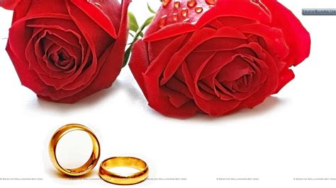 Roses Wedding Wallpapers - Top Free Roses Wedding Backgrounds - WallpaperAccess