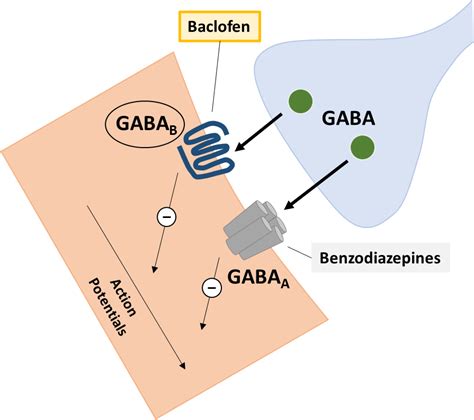 Baclofen Overdose or Brain Death? - Missouri Poison Center