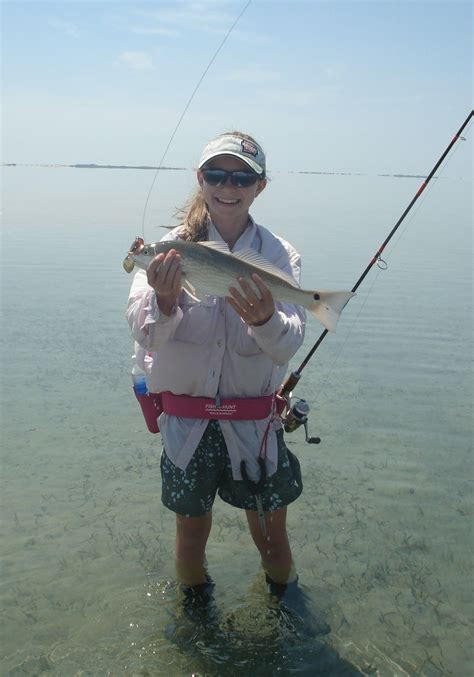 Redfish ~ Texas Gulf Coast | Red fish, Gulf coast, Fish