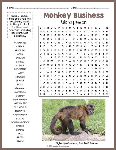 Monkey Word Search