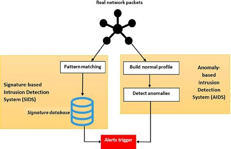 SIDSs vs AIDSs detection main phases. AIDSs, anomaly‐based intrusion ...