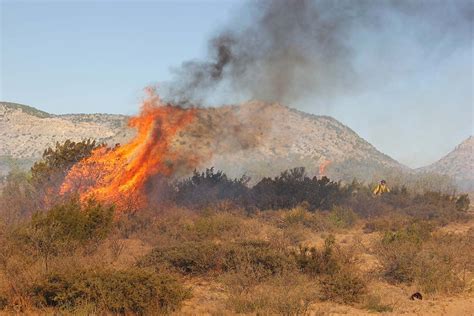 FIRE ECOLOGY - BORDERLANDS RESEARCH INSTITUTE