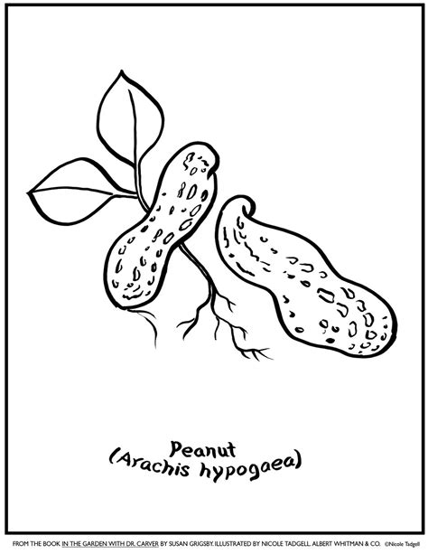 Free Peanuts Coloring Pages at GetColorings.com | Free printable ...