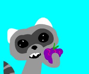 Raccoon eating Grapes - Drawception