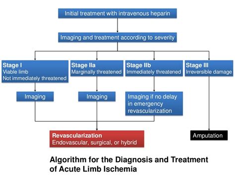 Acute Limb Ischemia