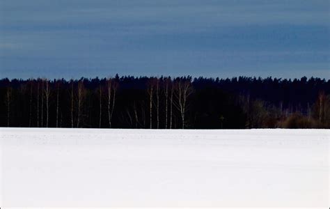 The Estonian flag, in Estonia : europe | 10 interesting facts, Lithuania travel, Beautiful ...