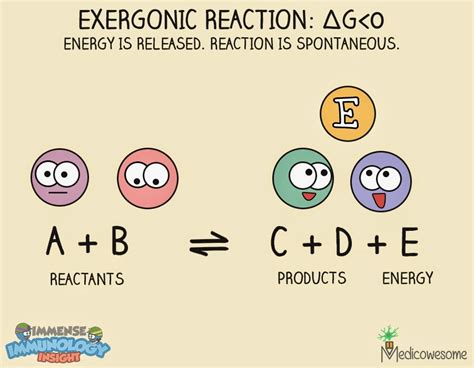 Medicowesome: Entropy, Enthalpy and Gibbs free energy – The monsters of ...