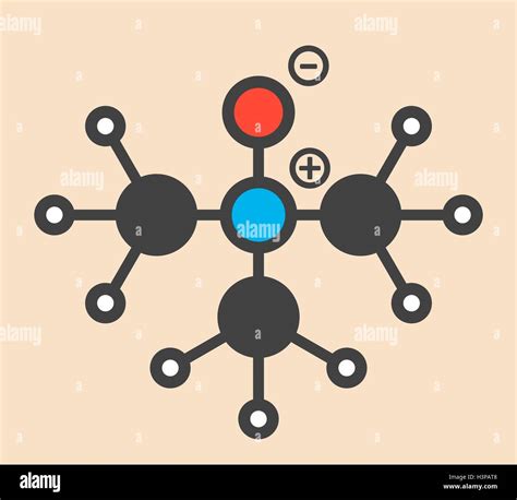 Trimethylamine N-oxide (TMAO) molecule. Stylized skeletal formula (chemical structure). Atoms ...