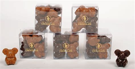 Koala Cube - Ministry Of Chocolate