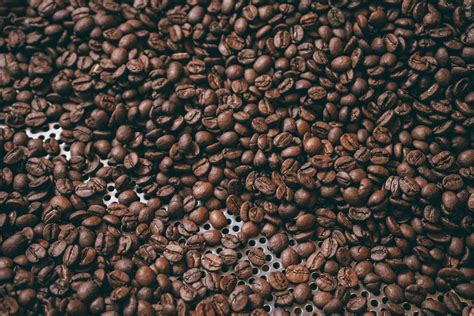 Close-up of Coffee Beans · Free Stock Photo