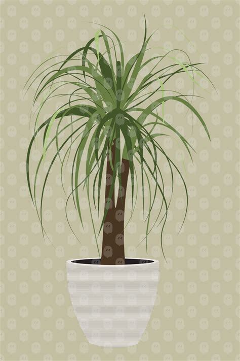 Archade | Potted Yucca Plant Vector Drawings