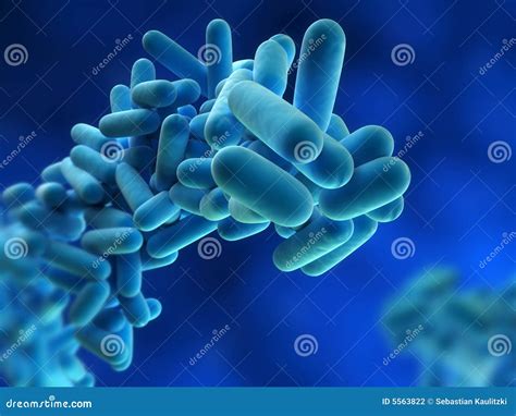 Legionella pneumophila stock illustration. Illustration of sick - 5563822