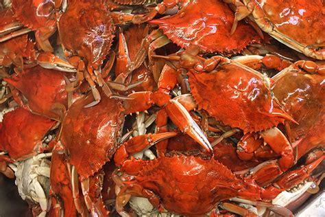 Blue Crab At Seafood World Buffet Restaurant | Myrtle Beach Seafood Buffet Restaurant