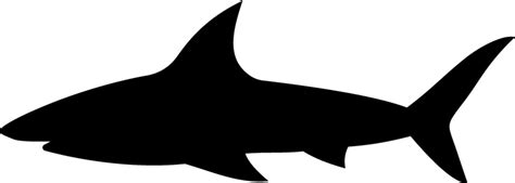 Easy Shark Clipart Images