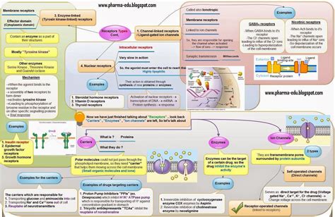 PHARMACY EDUCATION: DRUG RECEPTOR OVERVIEW