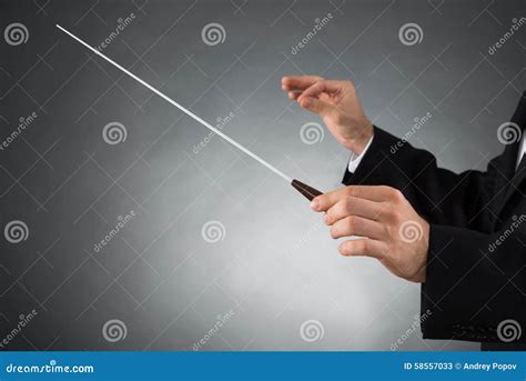 Orchestra Conductor Holding Baton Stock Photo - Image: 58557033