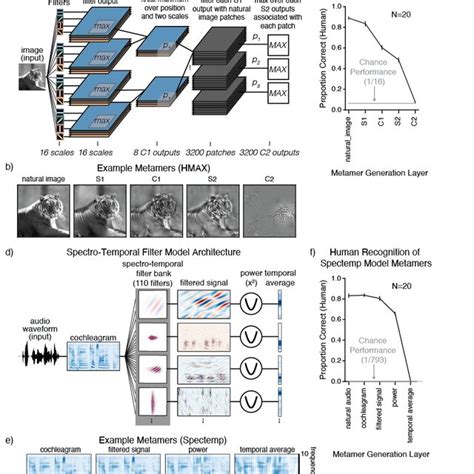 Metamers from classical models of sensory systems. a) Schematic of HMAX ...