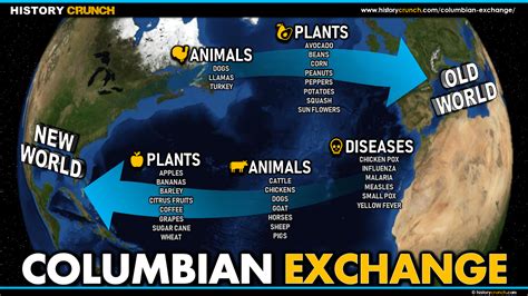 Columbian Exchange - HISTORY CRUNCH - History Articles, Biographies ...