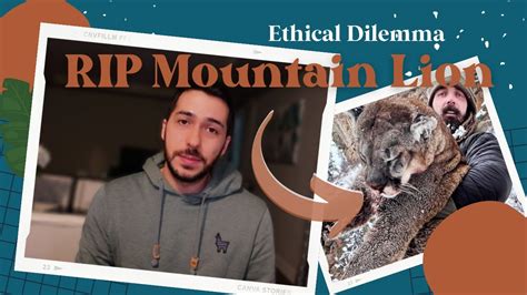 NFL Star Derek Wolfe triggered by Vegans - Controversial Hunting Trip Sparks Ethical Debate ...