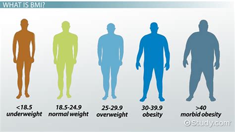 BMI Meaning, Formula & Calculations - Lesson | Study.com