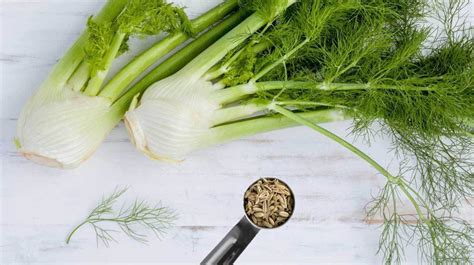 7 Amazing Health Benefits of Fennel Seed - Healthy Huemans